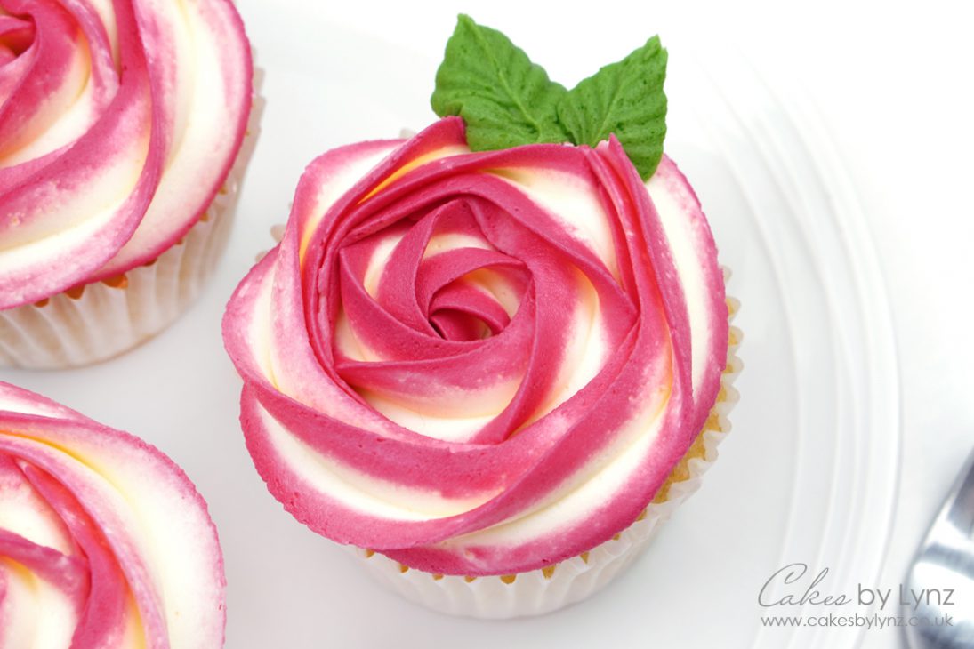 how to pipe a two-tone buttercream rose cupcake