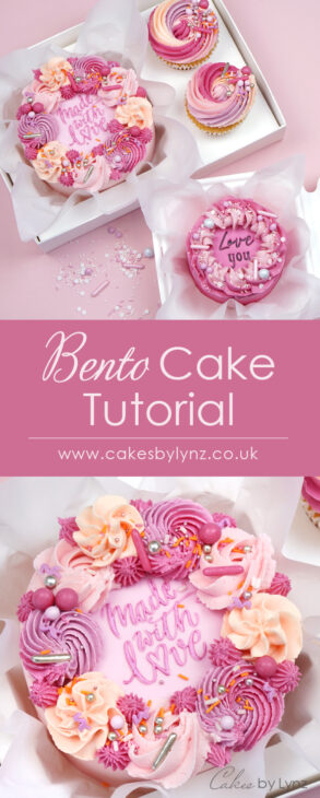 How to make Bento Lunchbox Cakes Tutorial